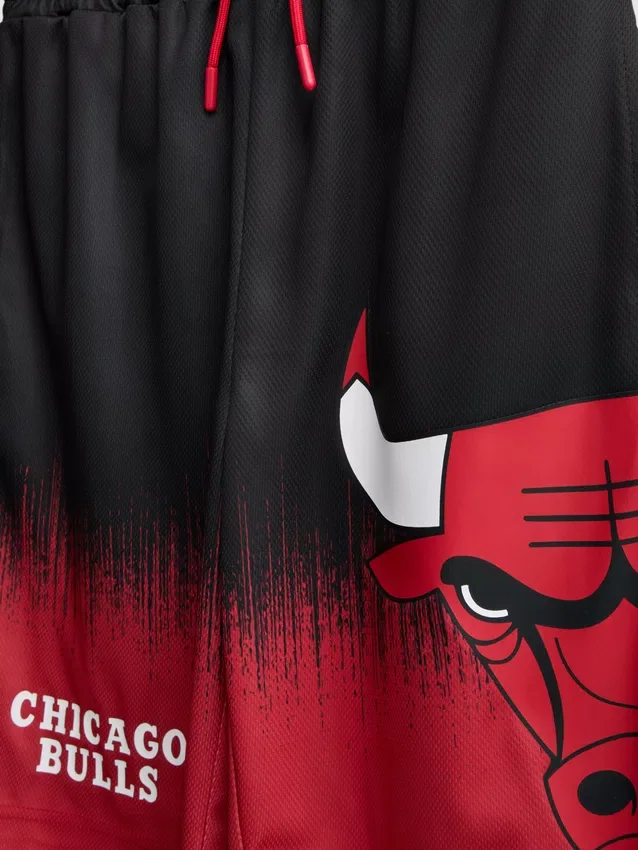 7–15 let | Síťovaná souprava NBA Chicago Bulls
