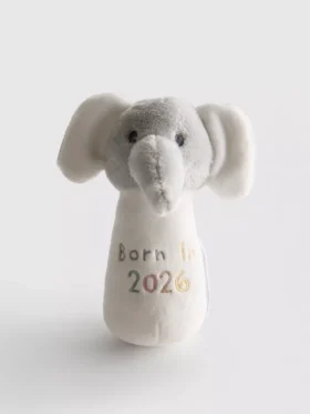Chrastítko „Born in 2026“