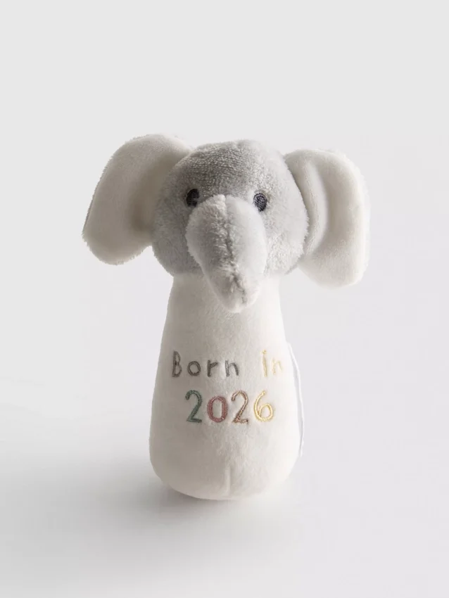 Chrastítko „Born in 2026“