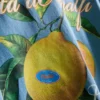 Košile s potiskem citronů z Amalfi